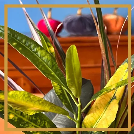 Lägenhet La Casa Di Efra Rom