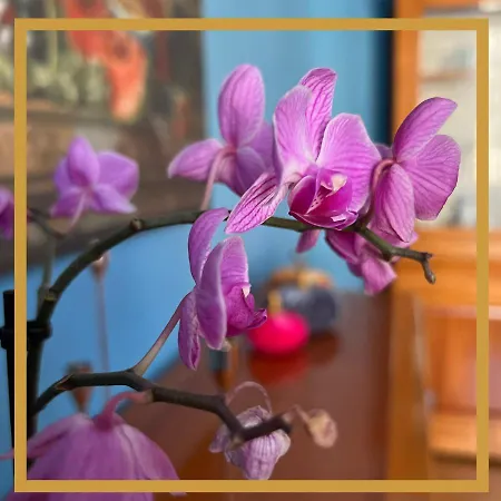 La Casa Di Efra Appartement *